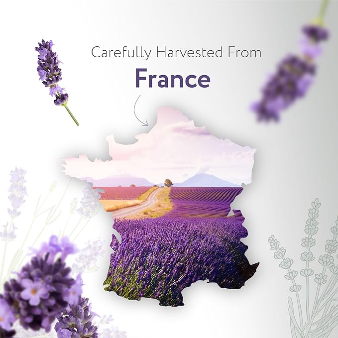 HBNO California Bottled Dutch Lavender Essential Oil 4 fl oz (120ml) - Natural Lavender Oil for Skin, Perfect for Cleaning, Aromatherapy, DIY & Diffuser