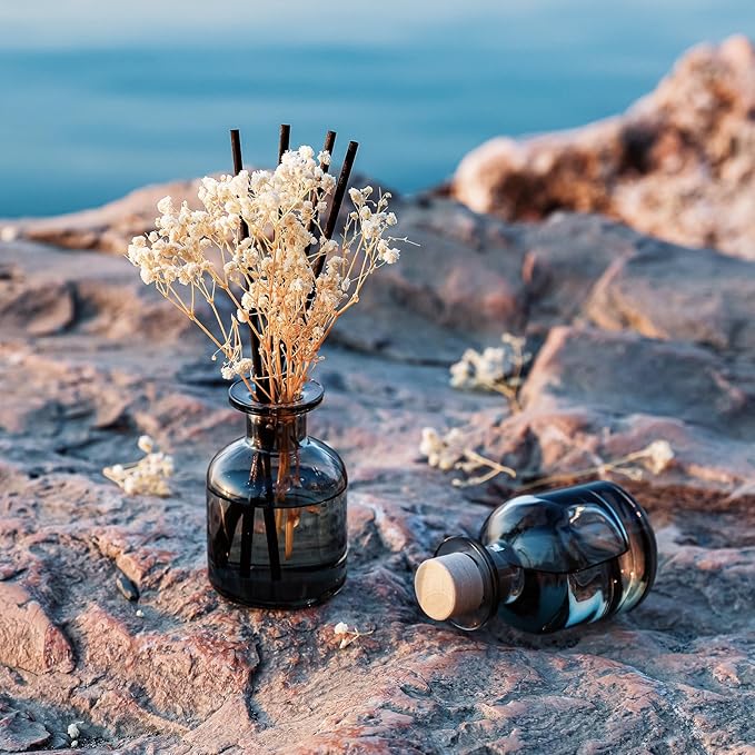 Brakula 2 Pack Reed Diffuser, White Jasmine + Bamboo (3.38 fl oz Each Pack), Home Fragrance with 12 Sticks, Shelf Decor, Reed diffusers for Home