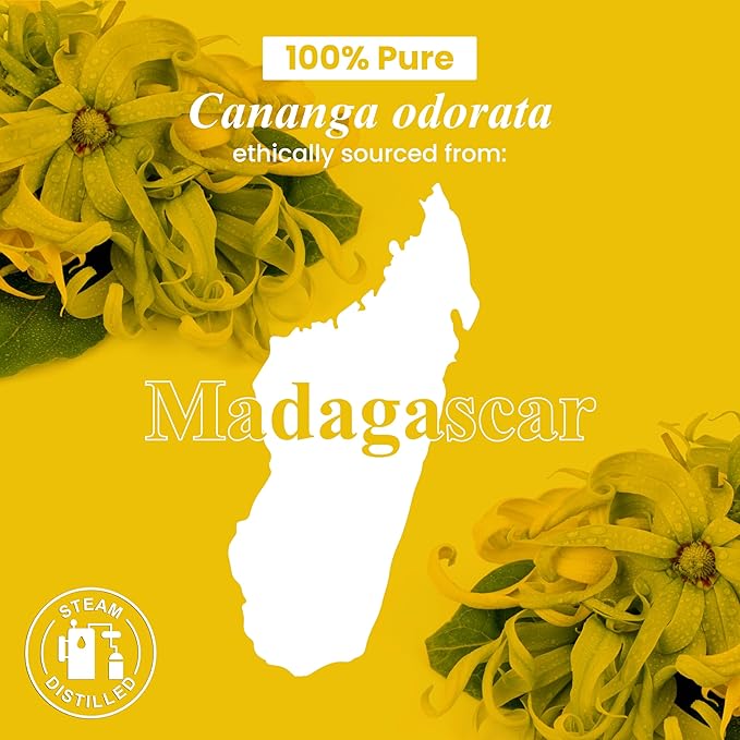 Handcraft Blends Ylang Ylang Essential Oil – 1 Fl Oz – 100% Pure and Natural – Premium Grade Essential Oil for Diffuser and Aromatherapy, Skin, Massage, Candle and Soap Making Fragrance