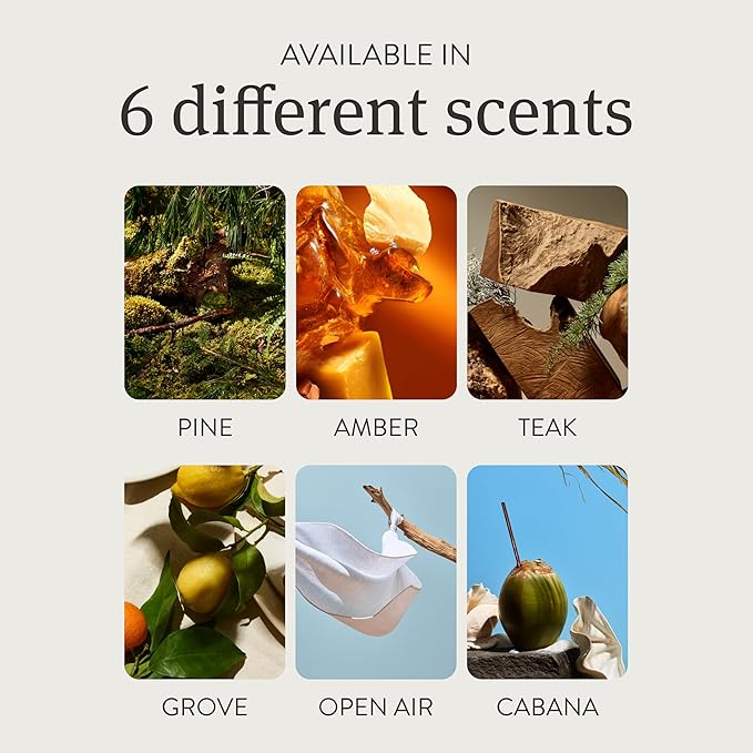 Drift Metal Vent Clip Starter Kit - Car Air Freshener - Scent Diffuser for Car - Metal Odor Eliminator - Grove