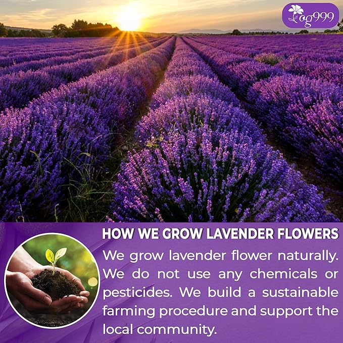 120 Lavender Flower Tea Bags, 100% Natural & Pure. Loose Flower Lavender Herbal Tea. No Sugar, No Caffeine, No Gluten, Vegan.