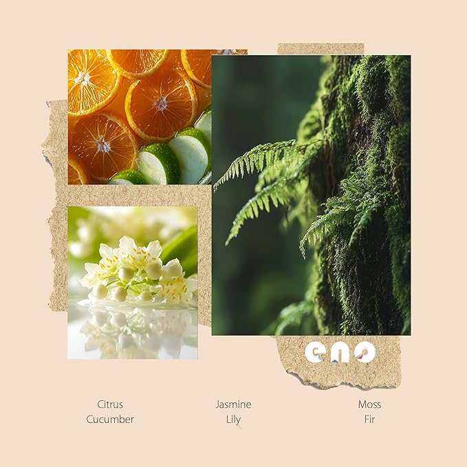 Reed Diffuser Set with Really Dried Flowers, Essential Oils Scented Diffuser with Sticks, Air Fresheners Home Fragrance for Bathroom Shelf Decor & Gift, 5.1oz / 150ml