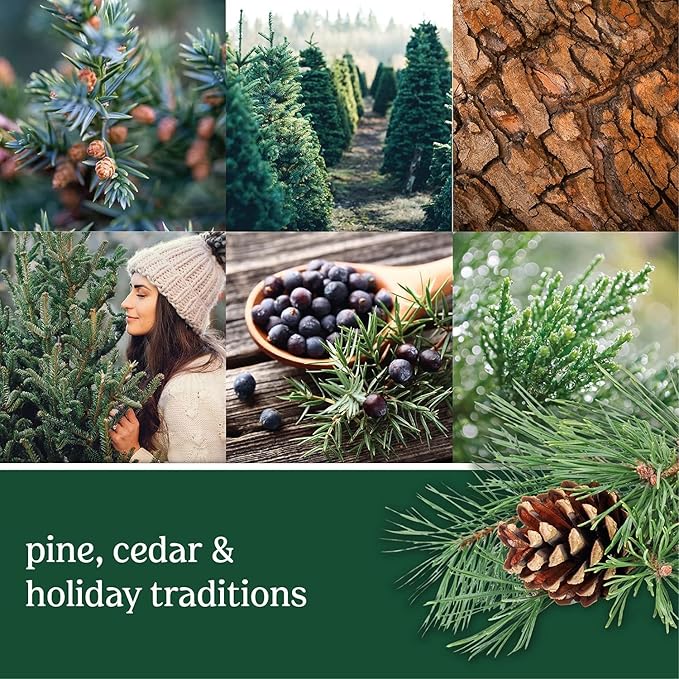 Father's Day, Valentine's Day & Christmas Candles, Natural Soy, 8.1 oz, 60 Hrs, French Cedar