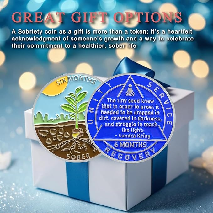 6 Month Sobriety Coin Sobriety Chips AA Chip AA Coins Sober Token Recovery Medallion NA Chips NA Coins from 1 to 12 Months Plastic case Included-Baking Paint Process