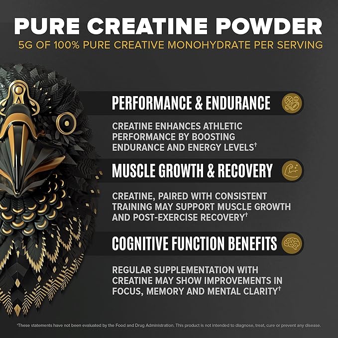 BIRDMAN Falcon Performance Vegan Protein Powder, 31g Protein, 5g Creatine, 5g BCAA, Probiotics, Electrolytes, Pre Workout, Low Carb, Sugar Free & Dairy Free, Plant Based Vanilla Protein, 29 Servings