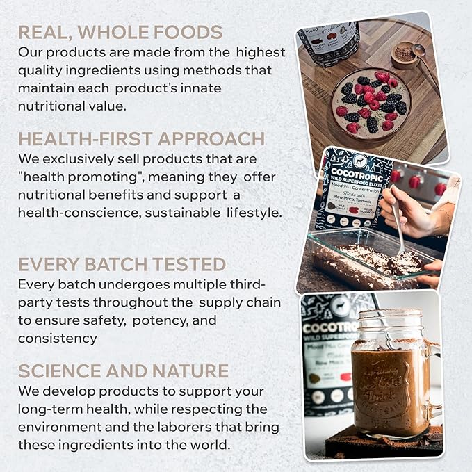 Organic Cocotropic Mushroom Hot Cocoa - Mushroom Coffee Alternative | Sugar Free Hot Chocolate | Organic Cocoa Powder, Reishi Mushrooms, Chaga, Maca Root, Turmeric | Delicious Sustained Focus, Energy & Mood Without Jitters | 16oz