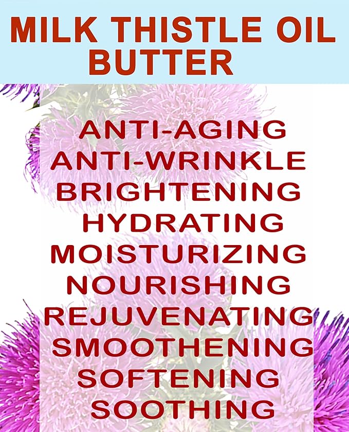 Botanical Beauty MILK THISTLE OIL BUTTER Silybum marianum 100% Natural for FACE, SKIN, BODY, HAIR, NAILS, Foot Care. Foot Oil butter, Skin Moisturizer (4 Fl Oz)