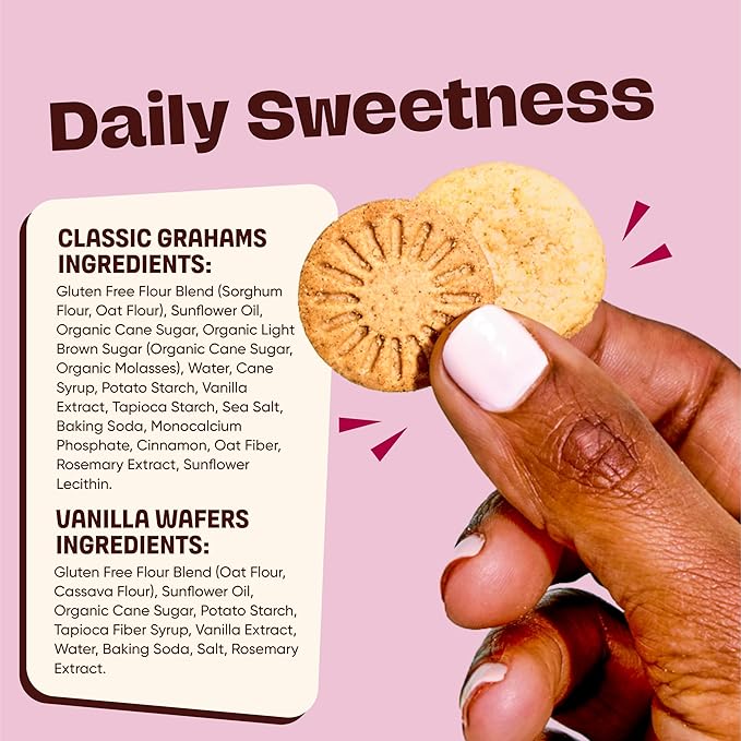 Partake Foods Gluten Free Mini Graham Cracker & Vanilla Wafer Snack Packs by Partake | Vegan & Dairy Free Cookies | Lunch Box Snacks | Allergy Friendly Snacks | Safe School Snack for Kids - 20 Pack