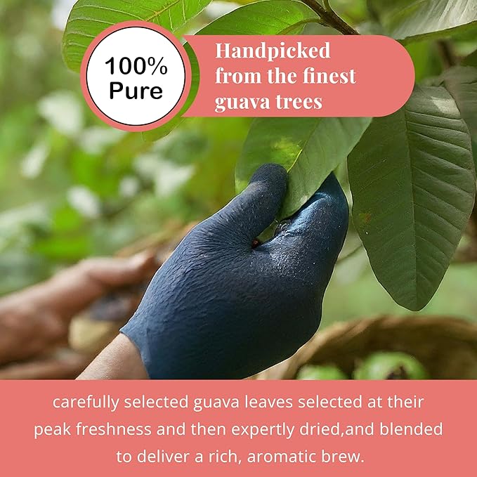 Akshit Guava Leaf Tea, 75 Tea Bags, 100% Natural Guava Leaves (Hojas De Guayaba), HerbalTea, Sugar Free, Caffeine Free, Non GMO, No Additives.