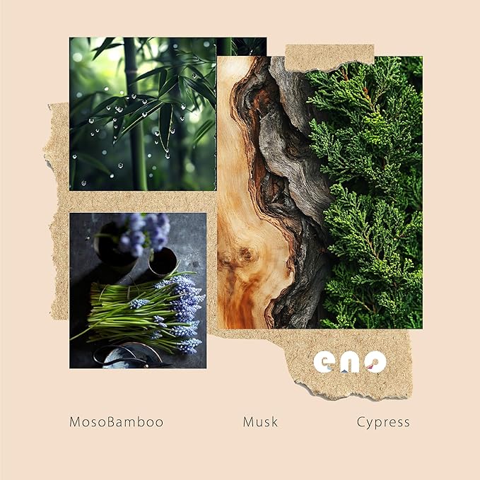 Reed Diffuser Set with Really Dried Flowers, Essential Oils Scented Diffuser with Sticks, Air Fresheners Home Fragrance for Bathroom Shelf Decor & Gift, 5.1oz / 150ml