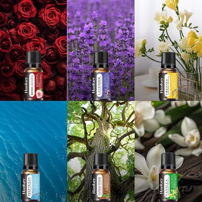 6-Piece Essential Oil Set - Lavender, Rose, Vanilla, Sandalwood, Freesia & Deep Ocean - 100% Pure Aromatherapy Oils for Relaxation, Sleep & Mood - Therapeutic Grade, Undiluted, Gift Ready