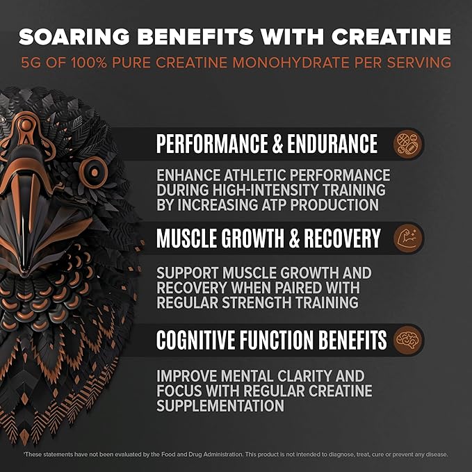 Birdman Falcon Performance Vegan Protein Powder, 31g Protein, 5g Creatine, 5g BCAA, Probiotics, Electrolytes, Pre Workout, Low Carb, Sugar Free & Dairy Free, Plant Based Chocolate Protein -47 servings