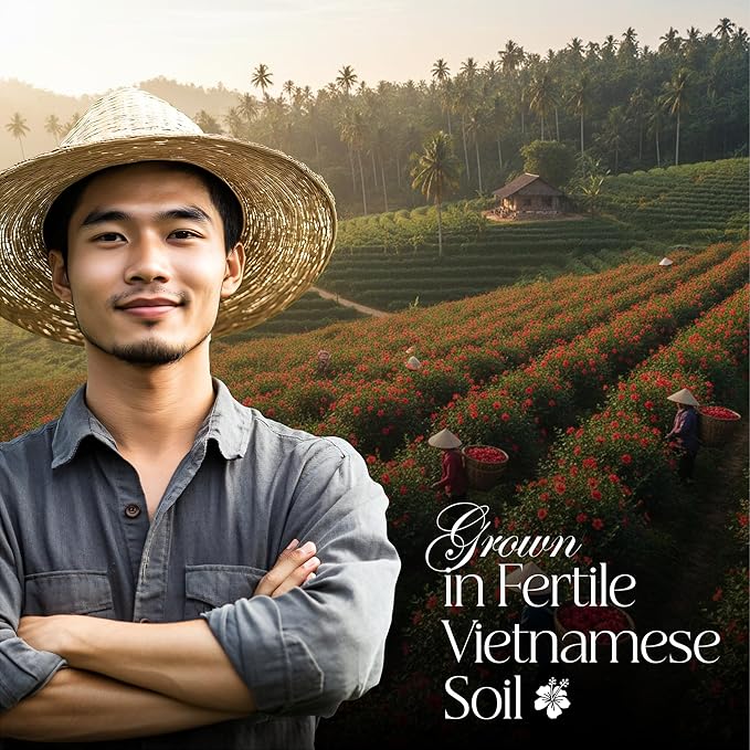 50 PACK Hibiscus Tea Bags – Individual Wrapped Tea Bags – All Natural Herbal Tea | Caffeine Free | No Preservatives, No Sugar – Great For All Seasons