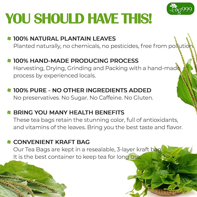 TOG999, Premium Tea Bags, 100% Natural & Pure, Loose Leaf Herbal Tea. No Sugar, No Gluten, Vegan. (60 Bags, Plantain Tea)