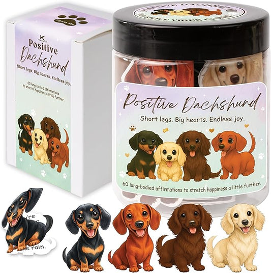 Positive Dachshund Jar – 60 Positive Affirmation Cards for Women, Mindfulness Cards, Stress Relief & Self Care Gifts for Women, Teen Girl, Birthday Gift for Her, Friendship Gift, Dachshund Gifts