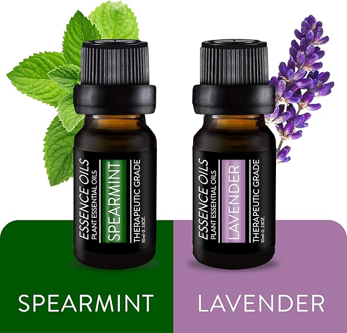 Pure Daily Care Aromatherapy Top 10 Essential Oil Set – Therapeutic Grade Single Ingredient Oils – Uplift Mind, Body and Spirit – 10 x 10 Ml Bottles – No Fillers & No Additives