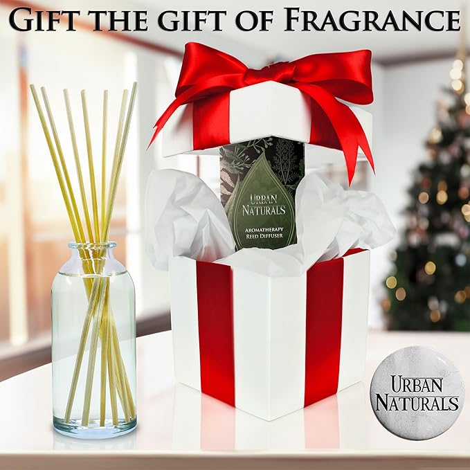 Urban Naturals Apples & Spice Apple Cinnamon Reed Diffuser Oil Set β Red Apple, Cinnamon, Nutmeg Clove & Vanilla Scented Diffusing Reed Sticks β Great Fall & Holiday Scent β Made in The USA