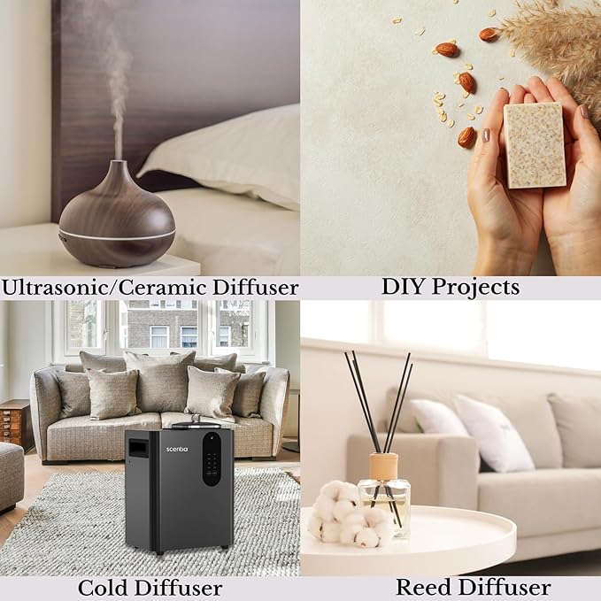 Scentia Hotel Diffuser Oil Inspired by The Delano Beach Club Hotel Scent - 500 mL 16.9 fl oz - Essential Oil Blend Orange, Green Tea & Jasmine for Aromatherapy Diffusers - California Breeze