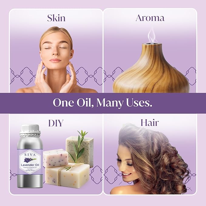 Siva Lavender Essential Oil – 16 Fl Oz – 100% Natural Lavender Oil - for Diffuser, Hair Care, Face, Skin Care, Aromatherapy, Scalp and Body Massage, Soap and Candle Making