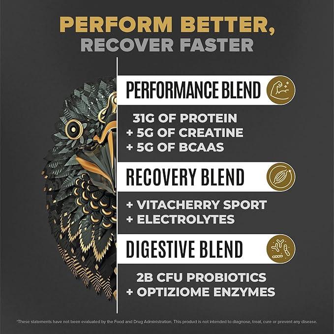 BIRDMAN Falcon Performance Vegan Protein Powder, 31g Protein, 5g Creatine, 5g BCAA, Probiotics, Electrolytes, Pre Workout, Low Carb, Sugar Free & Dairy Free, Plant Based Vanilla Protein, 29 Servings