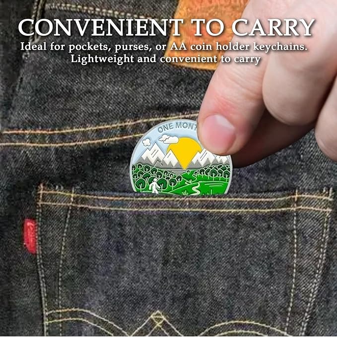 11 Month Sobriety Coin Sobriety Chips AA Chip AA Coins Sober Token Recovery Medallion NA Chips NA Coins from 1 to 12 Months Plastic case Included-Baking Paint Process