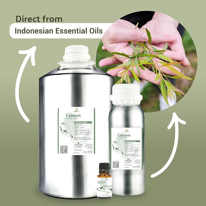 Cajeput Essential Oil (22lbs) - Direct from Central Java, Indonesia - Essential Oils for Diffusers Aromatherapy; Essential Oils for Body; Massage Oils | 100% Pure Therapeutic Grade