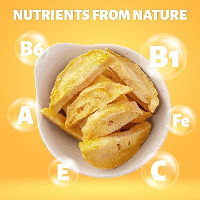 DARLAC FARMS Freeze Dried Mango Slices, Pack 1, No Sugar Added, Healthy Fruit Snacks for Kids, Adults & All Ages, Premium Organic Crispy Crunchy Snacks, Tea, Baking, Smoothie, Yogurt, 2 Oz