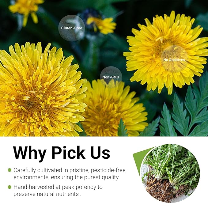 Dandelion Leaf & Root Tea Bags, 100% Natural Herbal Tea for Liver Support & Kidney Health, Caffeine-Free, Detox Herbal Tea Support Digestion & Boost Immune System (1 Pack/50 Bags)