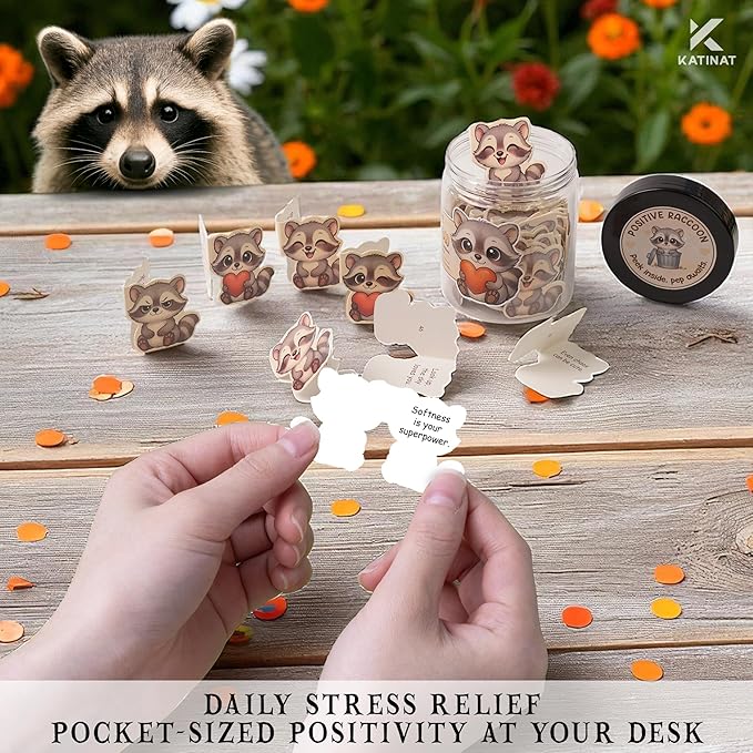Positive Raccoon Jar β 60 Positive Affirmation Cards for Women, Mindfulness Cards, Stress Relief & Self Care Gifts for Women, Teen Girl, Birthday Gift for Her, Friendship Gift, Raccoon Gifts