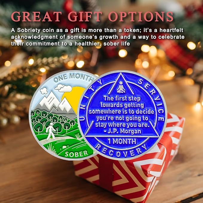 1 Month Sobriety Coin 30 Days Sobriety Chips AA Chip AA Coins 1 Month Sober chip Token Recovery Medallion Plastic case Included-Baking Paint Process