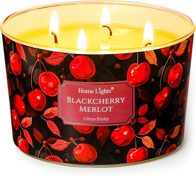 HomeLights Soy Wax Candles for Home Scented, 4-Wick Candles in Blackcherry Merlot Scented, Aromatherapy Candles Gift for Parties, Relaxing, Eclectic Mixed Styles, 18oz
