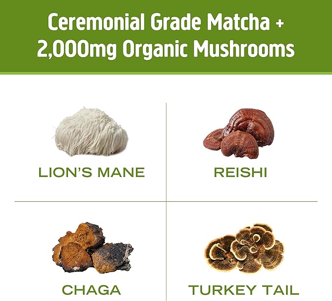 OM MUSHROOM SUPERFOOD Matcha Latte Blend Mushroom Powder, 8.47 Ounce Canister, 30 Servings, Green Tea, Lion's Mane, Reishi, Chaga, Turkey Tail, Focus & Stress Support Supplement