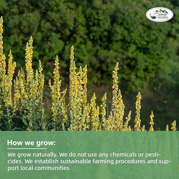 Veyorra Mullein Leaf Tea Bags - 100% Natural & Pure from Mullein Leaves.3g/Bag Non-GMO & Caffeine-Free, Loose Leaf Mullein Herbal Tea For Detox & Respiratory Support (30Bags)