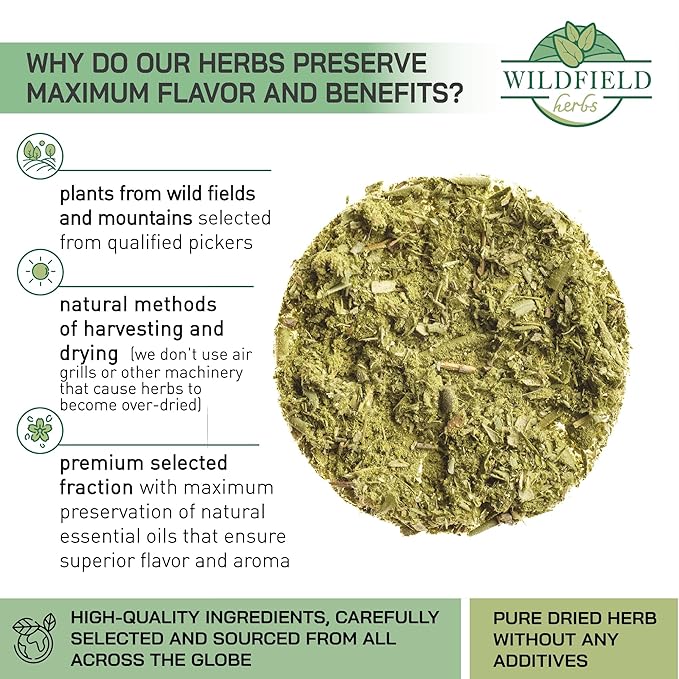 50 Bags Olive Leaf Tea Dried Olive Leaf Herbal Tea (Olea Europaea) - 50 Count 1.5 g Bags Hojas De Olivo Secas