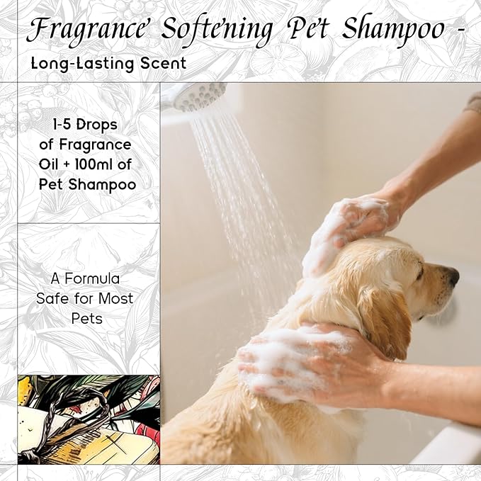 HIQILI Cologne Ocean Fragrance Oil, Sweet Orange & Ocean Scents, for Making Candle, Bath Bombs, Long-Lasting Scents for Home Diffuser - 5.07 Fl Oz