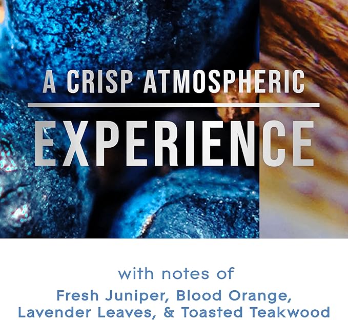 Glade PlugIns Refills Air Freshener, Scented and Essential Oils for Home and Bathroom, Juniper & Teak, Fresh Collection 3.35 Fl Oz, 5 Count