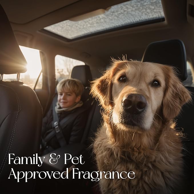 4 Refreshing Scent Bags Wood Car Air Freshener Vent Clip (Darkwood, Sun-Kissed)- Natural Scent Diffuser for Car, Truck & SUV Premium Essential Oil Starter Kit Gift for Men & Women