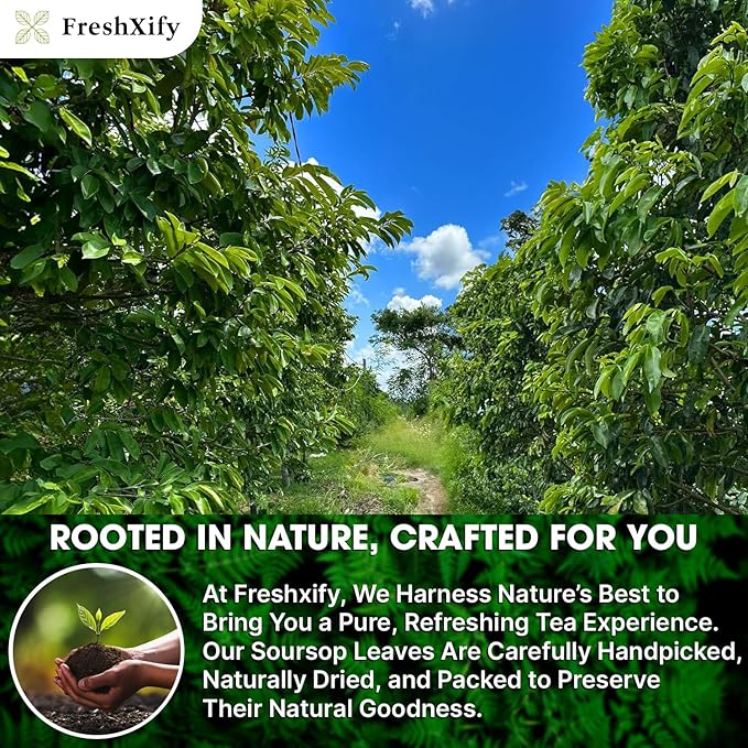 FreshXify – Premium 100 Soursop Tea Bags – 100% Natural Graviola Leaf | Hoja Guanabana | Guyabano Tea – Caffeine-Free, Non-GMO – Eco Paper Filter Bags – No Dust Leak – Herbal Tea