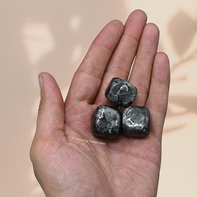 Amazing Gemstone Larvikite Crystals&Healing Stones Tumbled - 1 oz Larvikite Stone Gem Stones, Healing Stones for Energy Balance, Stress Relief - Premium Polished Gems Rocks for Meditation&Wellness