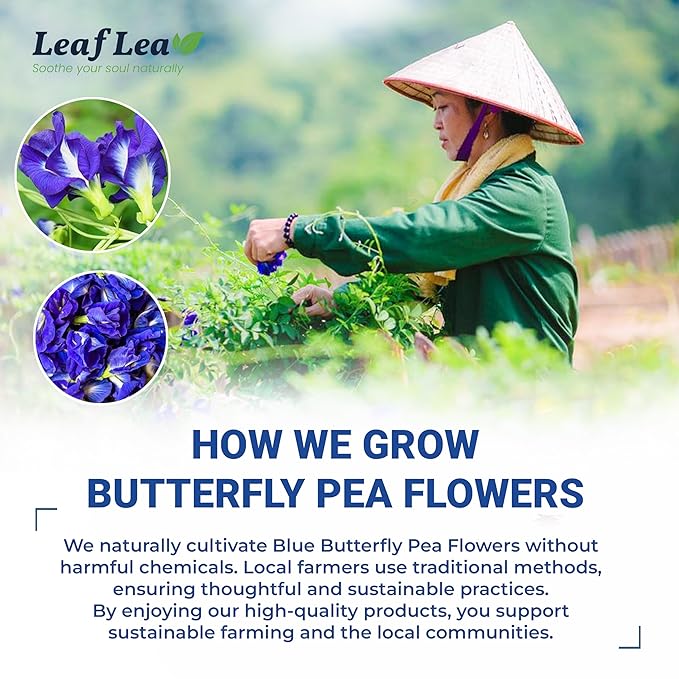 LeafLea 80 Butterfly Pea Flower Tea Bags, Natural Herbal Tea for Blue and Purple Drinks, Mocktails, and Food Coloring, Caffeine-Free, Sugar-Free, Non-GMO, Pack of 2