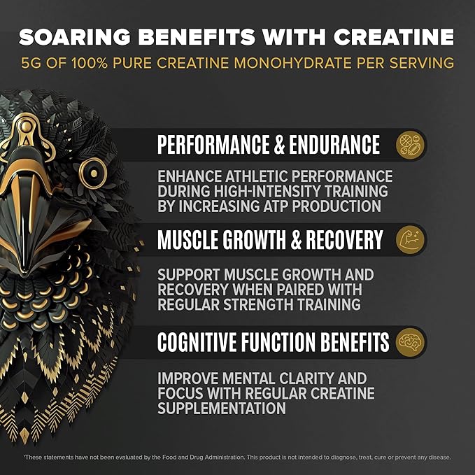 BIRDMAN Falcon Performance Vegan Protein Powder, 31g Protein, 5g Creatine, 5g BCAA, Probiotics, Electrolytes, Pre Workout, Low Carb, Sugar Free & Dairy Free, Plant Based Vanilla Protein - 49 Servings