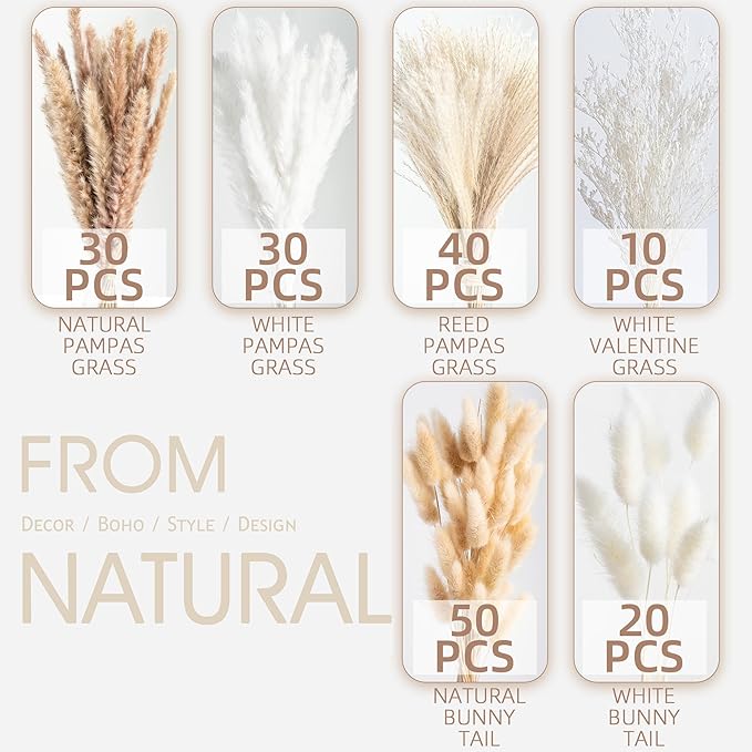 180PCS Natural Dried Pampas Grass Boho Home Decor Bouquet Phragmites Dried Flowers Bouquet for Wedding Floral Arrangements Home Decorations (180PCS)