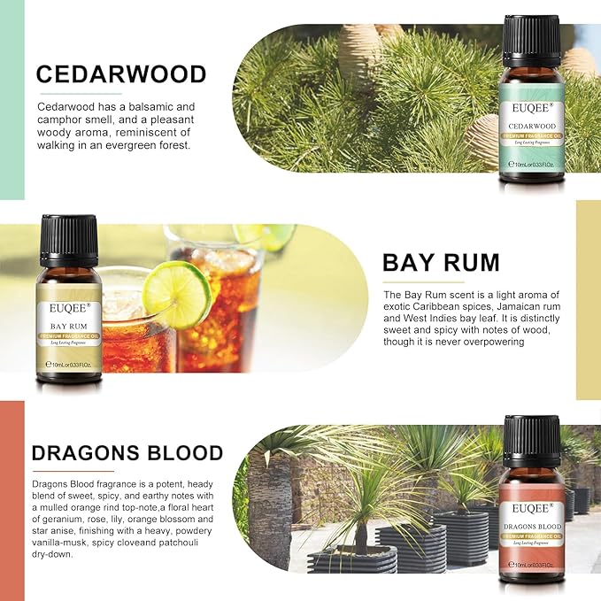 EUQEE 6PCS Fragrance Oils for Men, Men's Pubs Gift Set Premium Fragrance Oils -10ml-Leather, Sweet Tobacco(New Name-Honeyed Haze), Dragons Blood, Sandalwood, Bay Rum, Cedarwood (Men's Pubs)