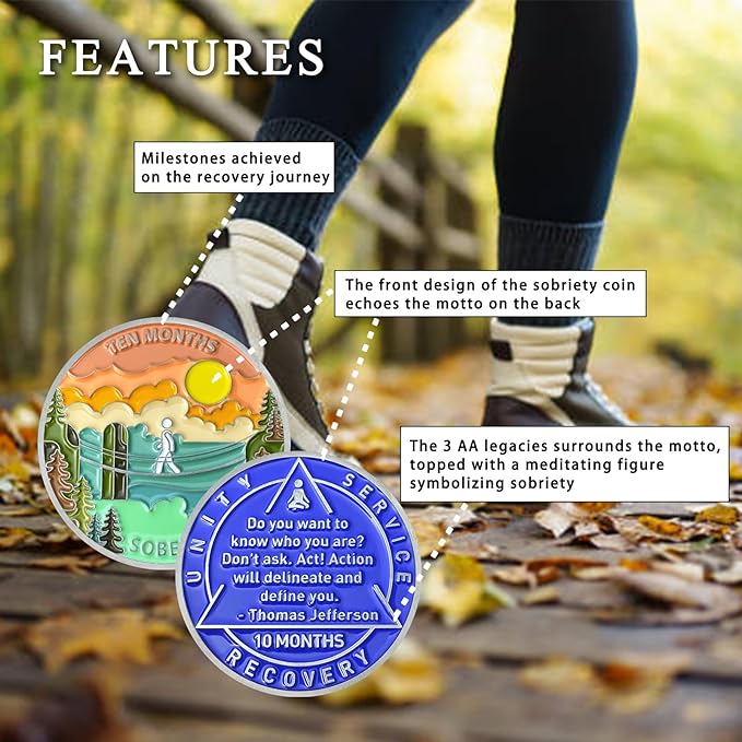 10 Month Sobriety Coin Sobriety Chips AA Chip AA Coins Sober Token Recovery Medallion NA Chips NA Coins from 1 to 12 Months Plastic case Included-Baking Paint Process