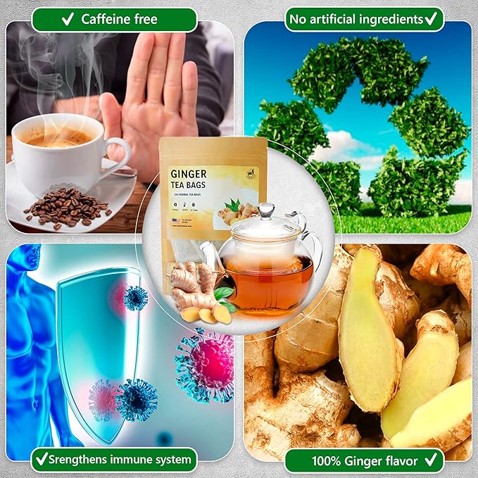 TeaDreamTea Ginger Tea Bags - 100 Bleach-Free Tea Bags | Caffeine Free, Antioxidant, Calms Upset Stomach - Strengthen Immune System - Herbal Ginger Tea