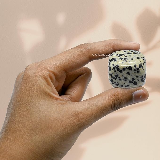 Amazing Gemstone Dalmatian Jasper Crystals and Healing Stones Tumbled - 1 oz Dalmatian Jasper Stone, Natural Healing Stones for Energy Balance, Stress Relief - Premium Polished Gems Rocks