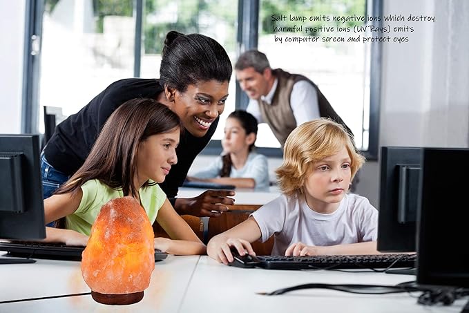 LN-02 Pack of 2 Natural Himalayan Pink Crystal Rock Salt Lamp 4~7 lbs with Dimmer Control Switch, Quality Gift Packaging