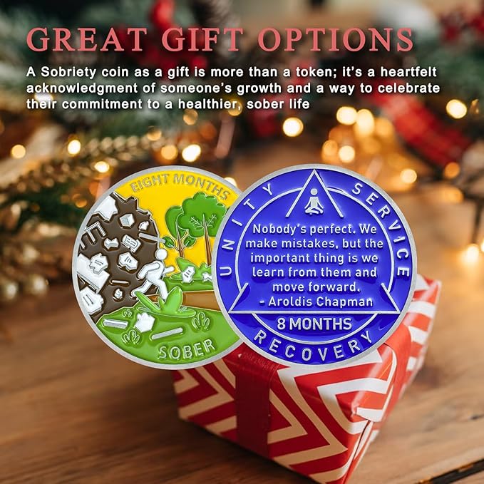 8 Month Sobriety Coin Sobriety Chips AA Chip AA Coins Sober Token Recovery Medallion NA Chips NA Coins from 1 to 12 Months Plastic case Included-Baking Paint Process