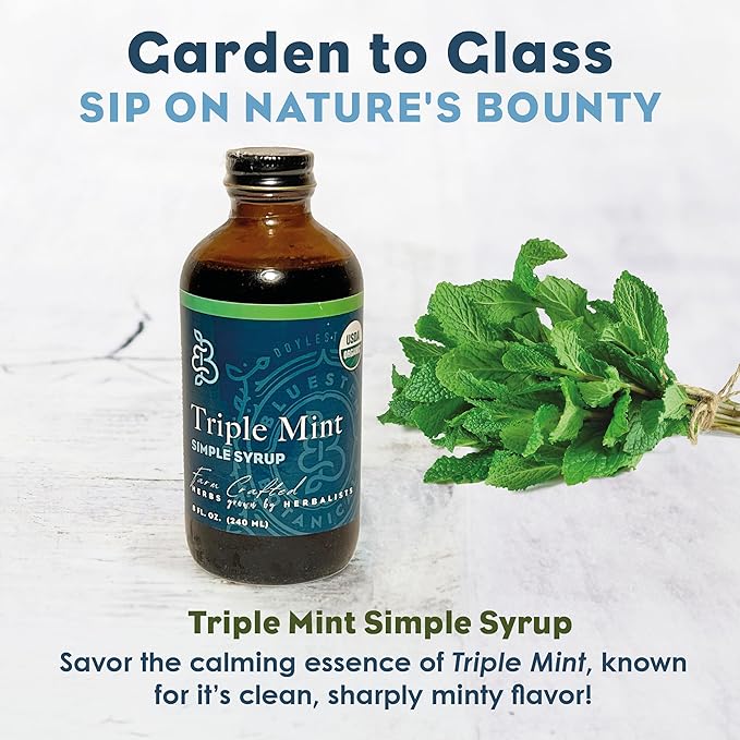 Bluestem Botanicals Organic Triple Mint Simple Syrup, 8 oz, Cocktail and Mocktail Mixer for Drinks, Non-Alcoholic