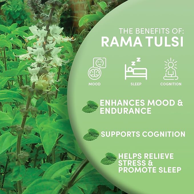 Worldwide Botanicals Organic Holy Basil Tea, 8oz - Tulsi Rama - Loose Leaf Premium Herbal Tea, 100% Pure Tulsi Holy Basil, Fair Trade, Adaptogenic, Kosher